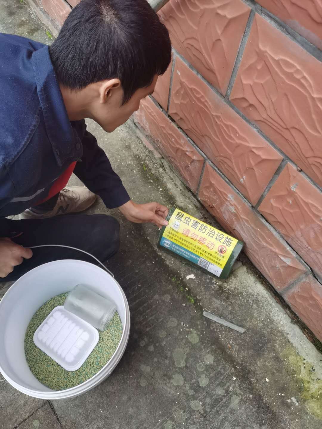 成都除四害